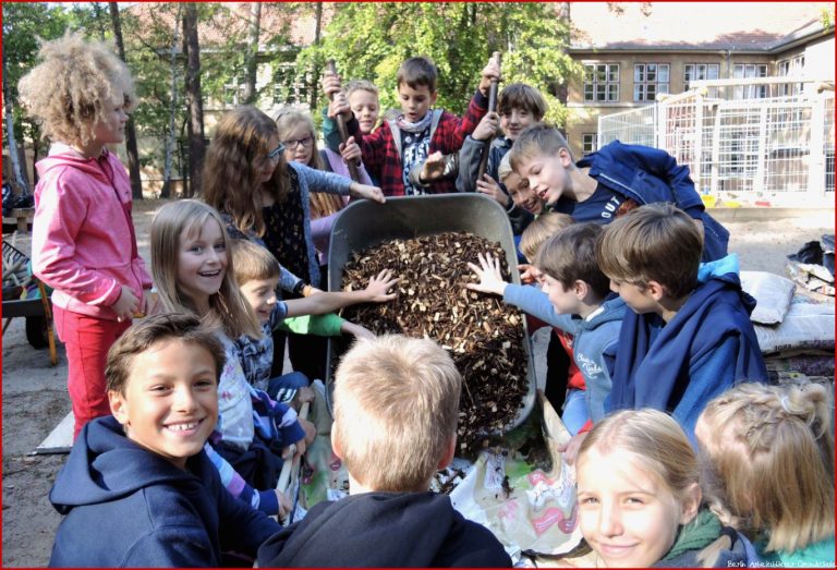 Teilnehmende Grundschulen Berlin Wildbienenbuffets für