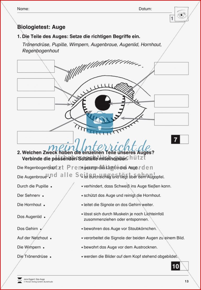 Test zu Funktion und Aufbau des Auges meinUnterricht