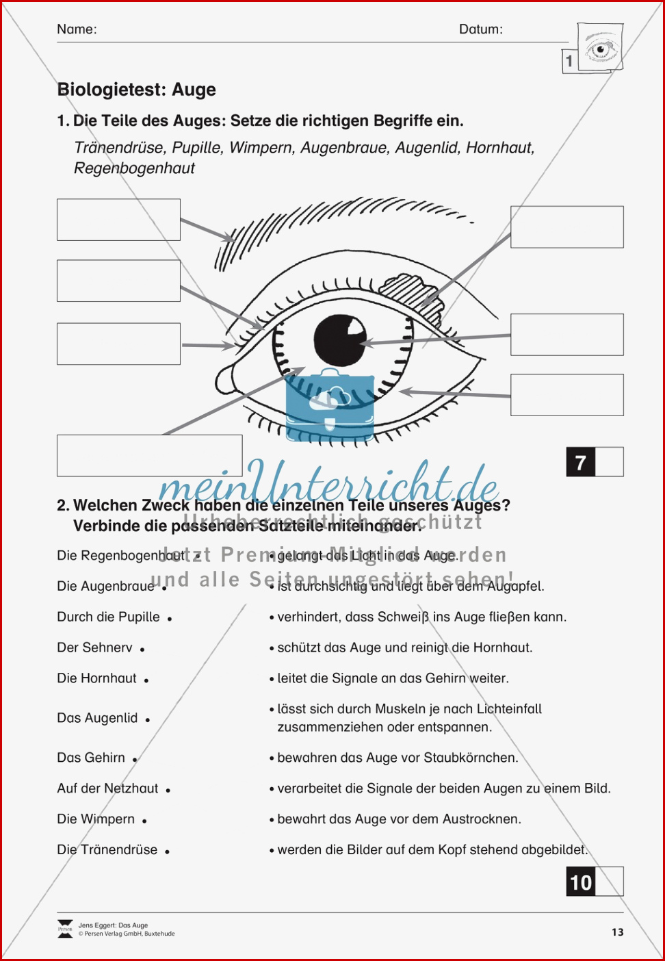 Test Zu Funktion Und Aufbau Des Auges Meinunterricht