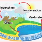 The Water Cycle German Creation