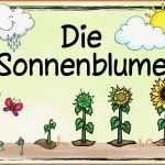 Themenplakat "die sonnenblume"