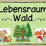 Themenplakat Lebensraumwald Pdf Google Drive