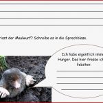 Tierbeschreibung Arbeitsblätter Klasse 5 David Hoff Schule