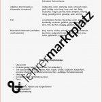 Tierbeschreibung Klasse 5 Arbeitsblätter Worksheets