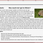 Tiere Im Winter Arbeitsblatter Klasse 5 Kostenlose