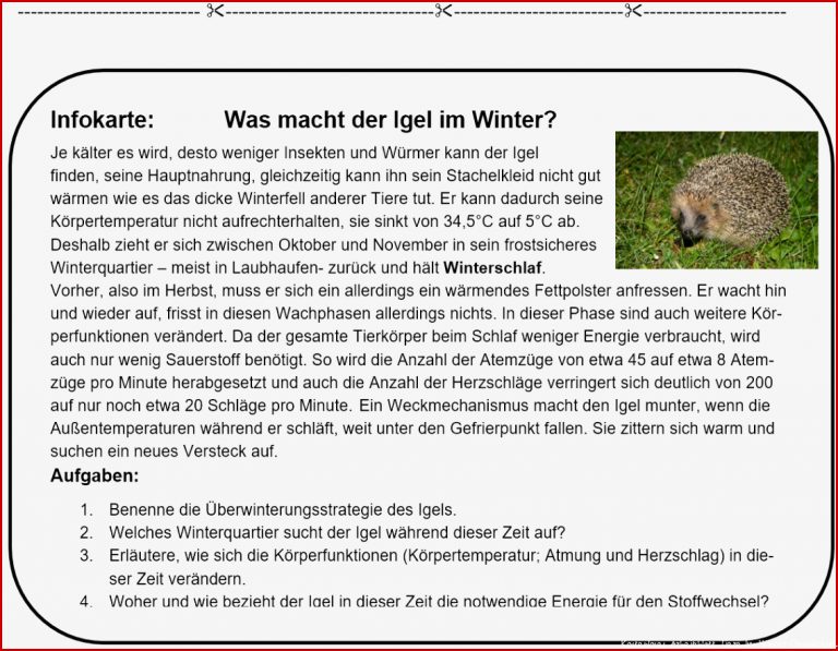 Tiere Im Winter Arbeitsblatter Klasse 5 Kostenlose