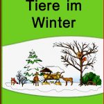 Tiere Im Winter Werkstatt Für Grundschule