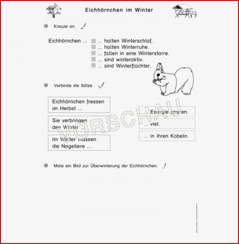 Tiere Im Winter Werkstatt Für Grundschule