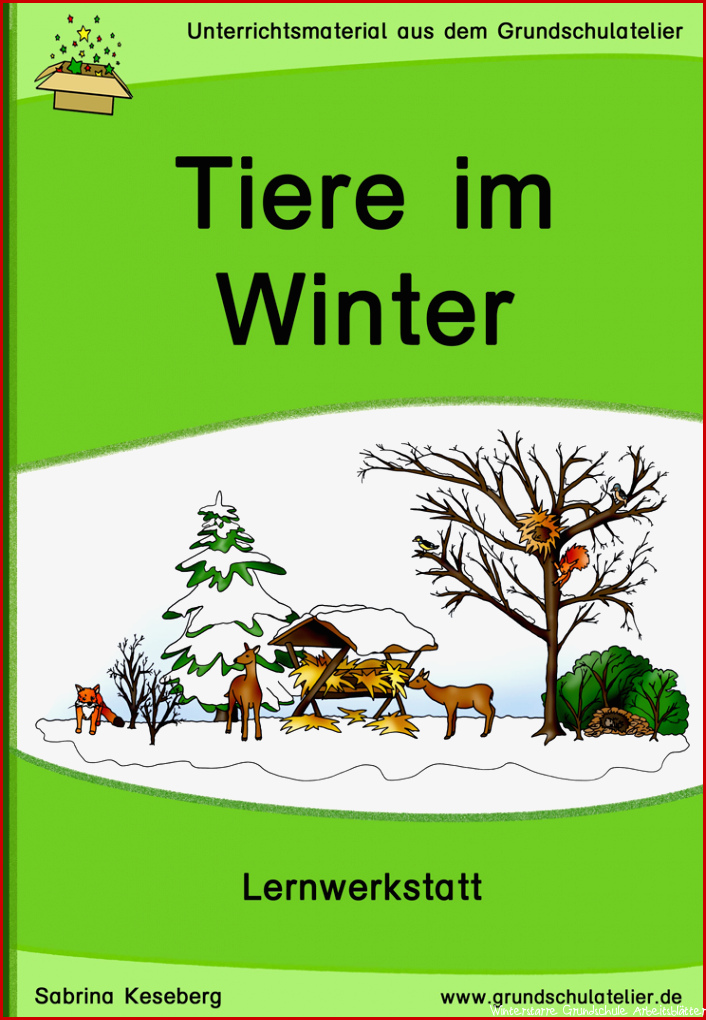 Tiere im Winter Werkstatt für Grundschule