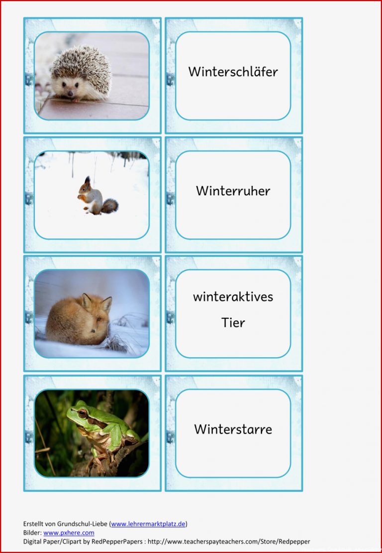 Tiere im Winter Zurodnungsspiel II Wort Bild Zuordnung