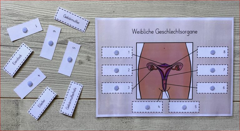 Ualerziehung Materialpaket – Unterrichtsmaterial in