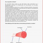 Unser Körper Unsere Muskeln theorie Praxis