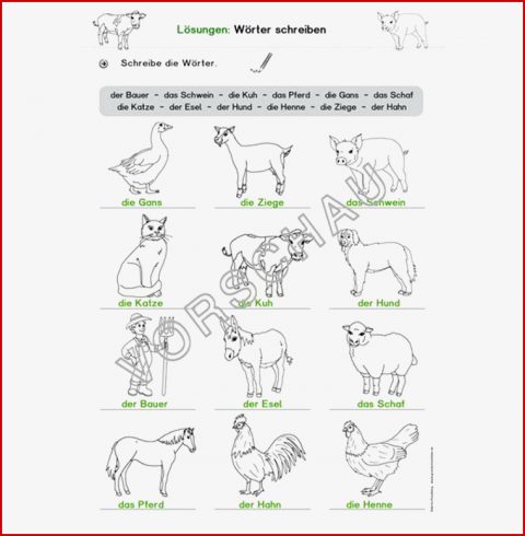 Unterrichtsmaterial Für Daf Daz Zum thema "bauernhof"