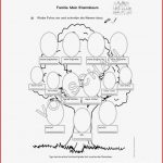 Unterrichtsmaterial Für Daf Daz Zum thema "familie"
