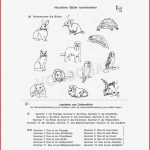 Unterrichtsmaterial Für Daf Daz Zum thema "haustiere"