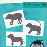 Unterrichtsmaterial Körpersprache Hund Arbeitsblatt