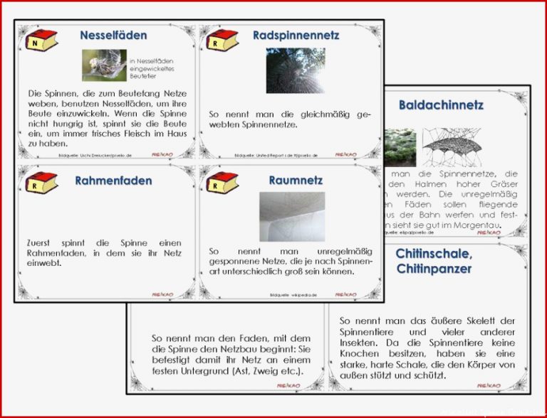 Unterrichtsmaterial Übungsblätter für Grundschule