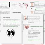 Unterrichtsmaterial Übungsblätter Für Grundschule