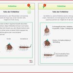 Unterrichtsmaterial Übungsblätter Für Grundschule