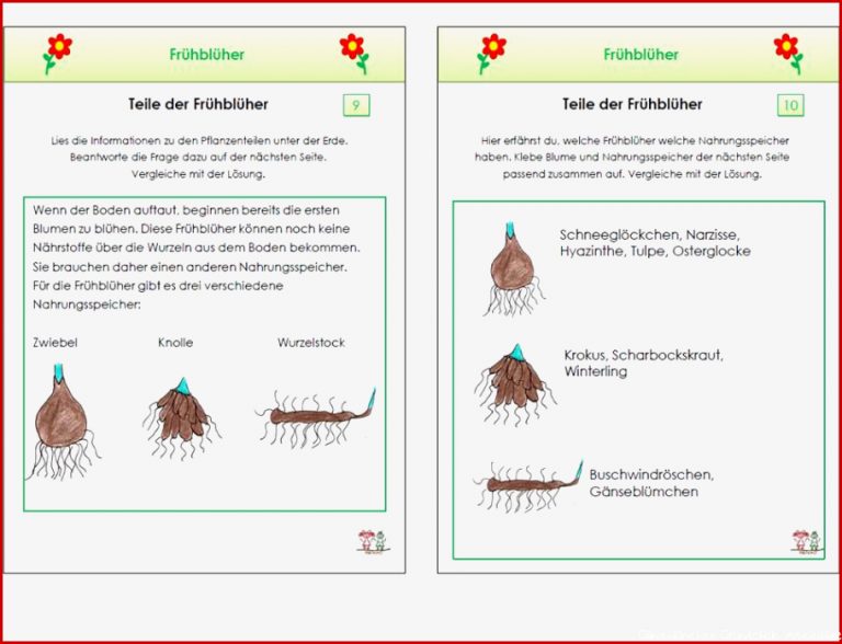 Unterrichtsmaterial Übungsblätter für Grundschule