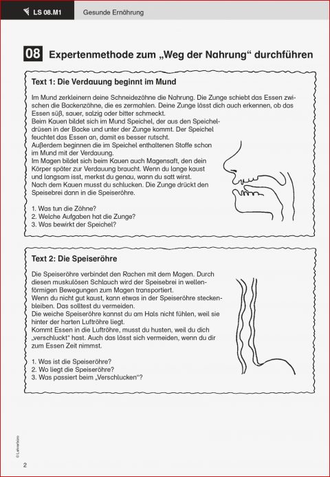 Verdauung Arbeitsblatt Grundschule