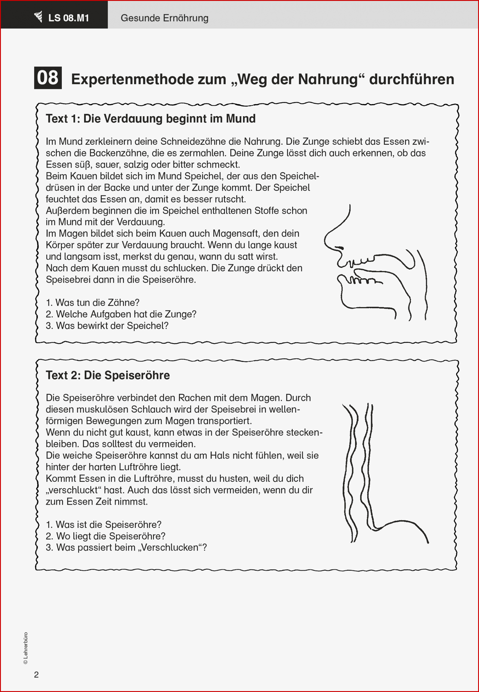 Verdauung Arbeitsblatt Grundschule