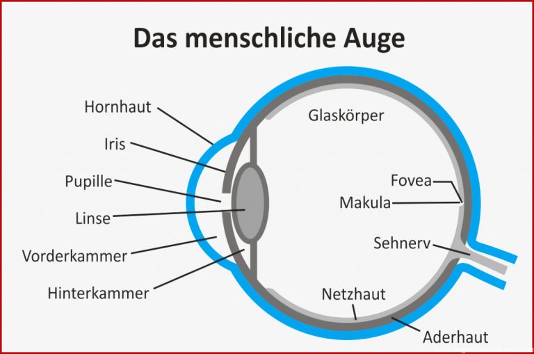 Virtuelle Realität Visuelle Wahrnehmung