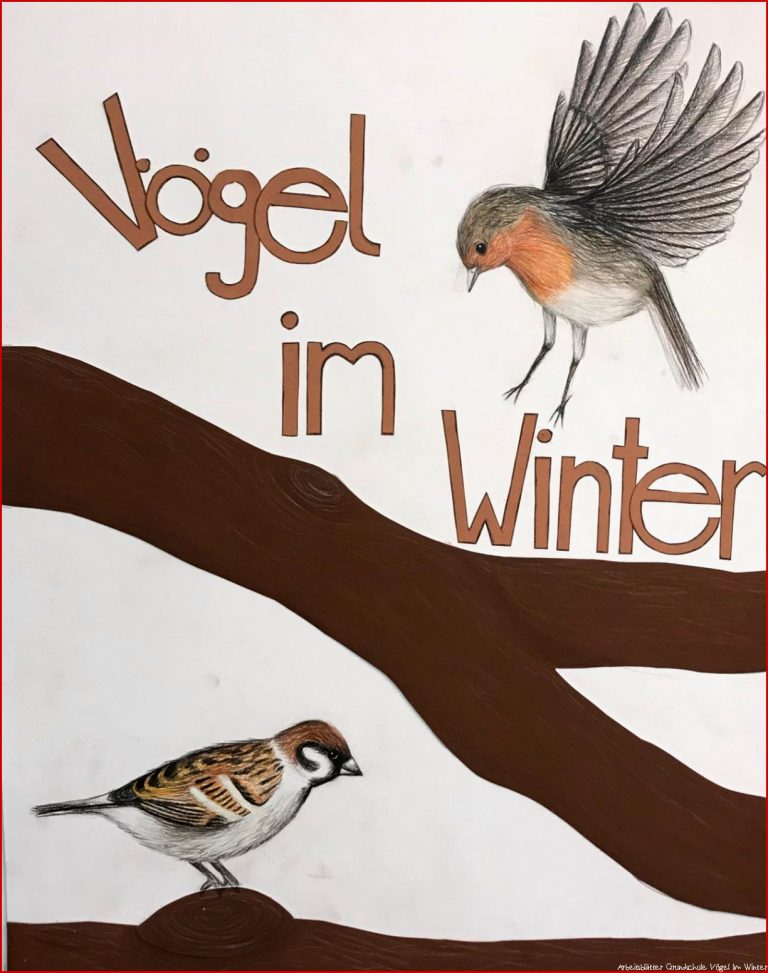 Vögel Im Winter Grundschule Heute sind wir in das neue