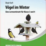 Vögel Zählen Zu Den Wenigen Tierarten Sich In