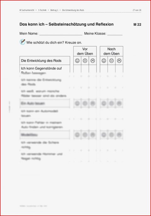 Vom Baumstamm Bis Zum Autoreifen – Entwicklung Des