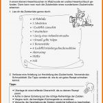 Vorgangsbeschreibung Klasse 7 Arbeitsblätter Worksheets