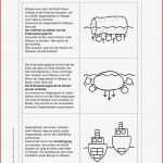 Vorschau Arbeitsblatt Meinunterricht
