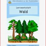 Wald Werkstatt Für Grundschule