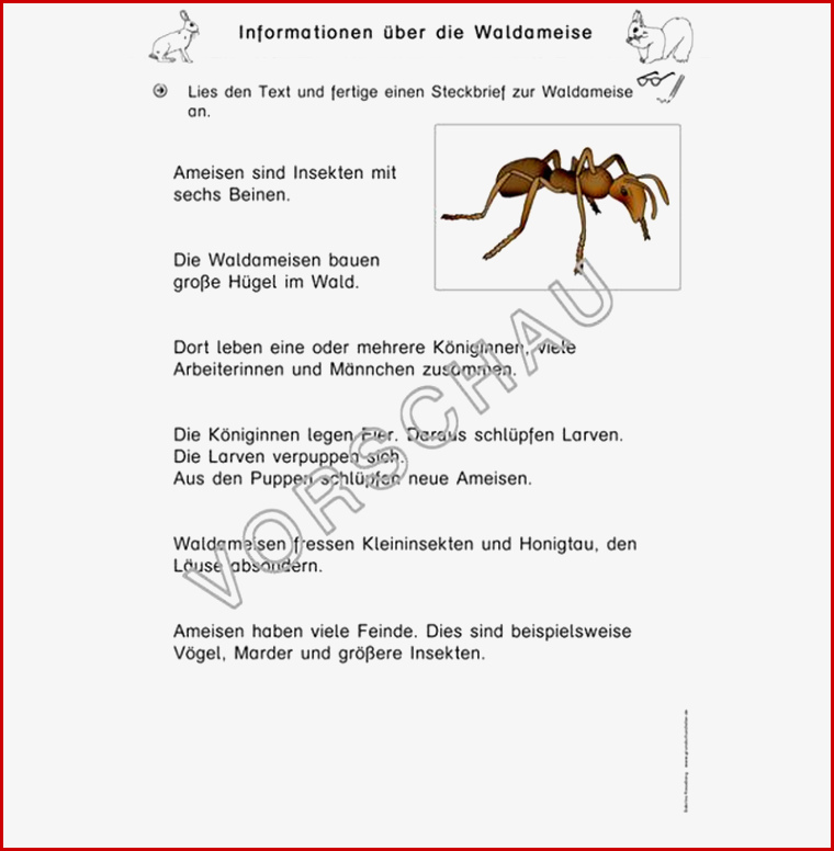 Wald Werkstatt Für Grundschule