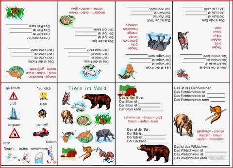 Waldtiere Deutsch Daf Arbeitsblatter