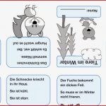 Waldtiere Faltbüchlein Pdf