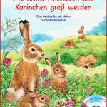 Wie Kleine Feldhasen Und Kaninchen Groß Werden Friederun