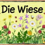 Wiese Plakat Ideenreise