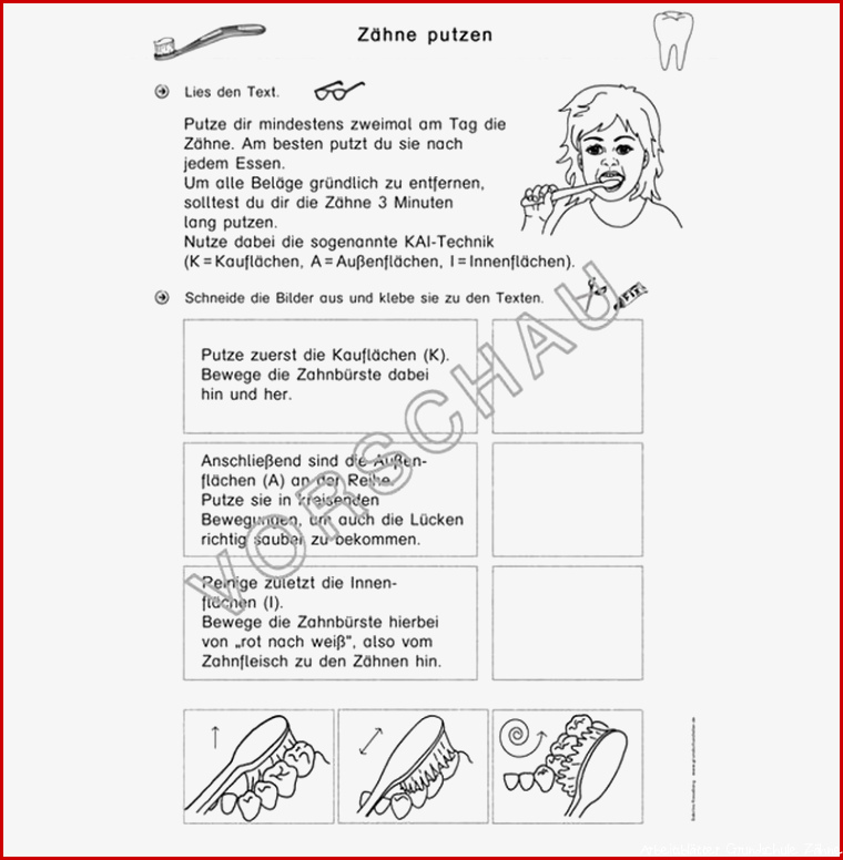 Zähne Werkstatt für Grundschule