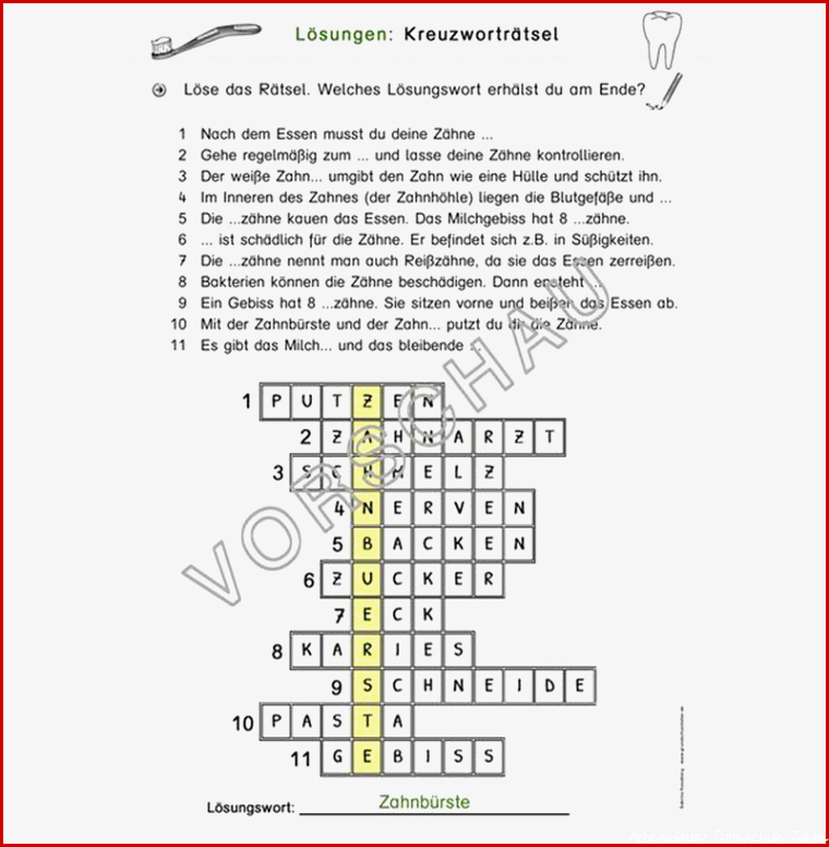 Zähne Werkstatt für Grundschule