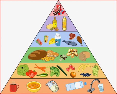 Zusammensetzung Der Nahrung Und Gesunde Ernährung Online